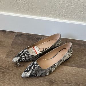 Mango snakeskin pointed flats